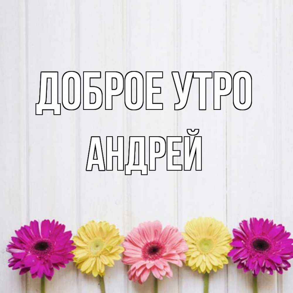 Открытка на каждый день с именем, Андрей Доброе утро красный желтый и розовый цветок Прикольная открытка с пожеланием онлайн скачать бесплатно 