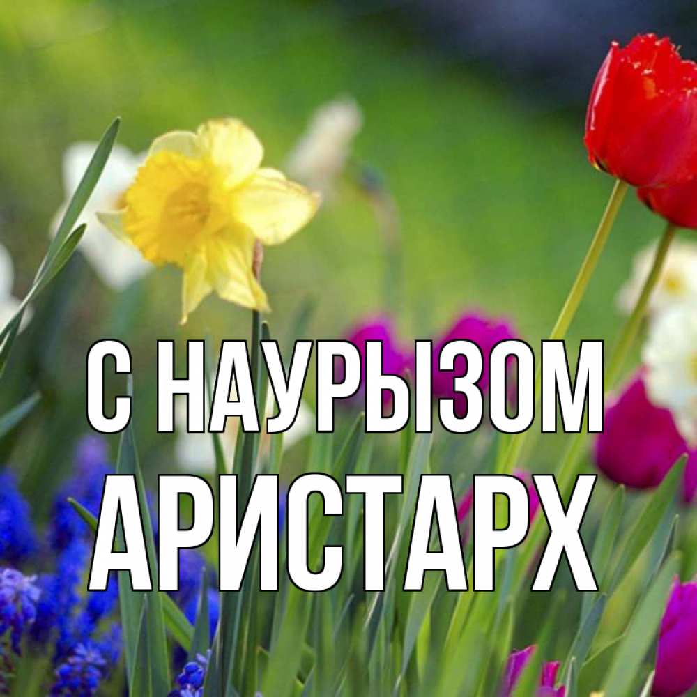 Открытка на каждый день с именем, Аристарх С наурызом праздник весны наурыз 3 Прикольная открытка с пожеланием онлайн скачать бесплатно 