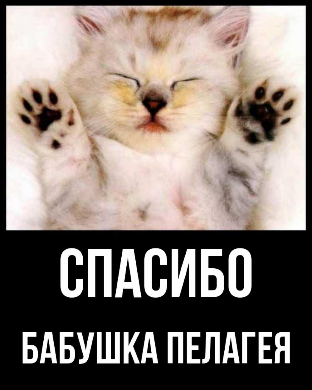 Открытка на каждый день с именем, Бабушка-Пелагея Спасибо маленький котенок Прикольная открытка с пожеланием онлайн скачать бесплатно 
