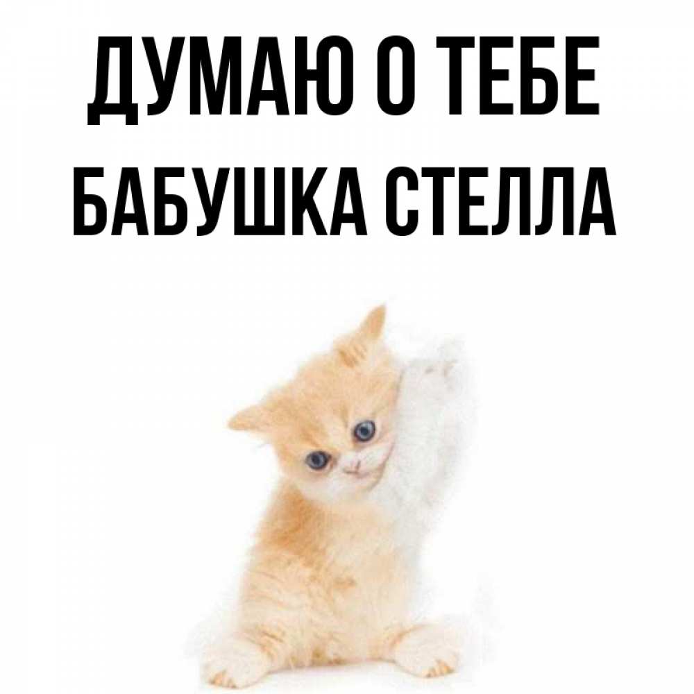 Открытка на каждый день с именем, Бабушка-Стелла Думаю о тебе зверушки и милота Прикольная открытка с пожеланием онлайн скачать бесплатно 