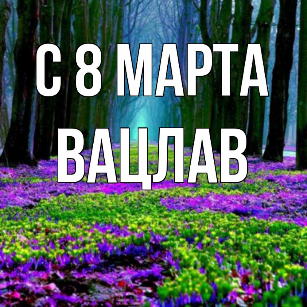 Открытка на каждый день с именем, Вацлав С 8 марта фиолетовые цветы в лесу 1 Прикольная открытка с пожеланием онлайн скачать бесплатно 