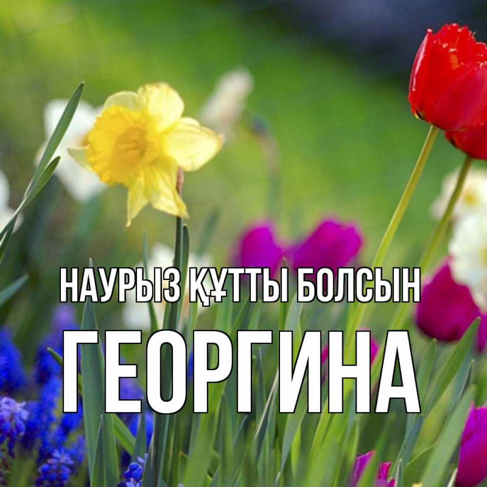 Открытка на каждый день с именем, Георгина Наурыз құтты болсын наурыз  3 открытки Прикольная открытка с пожеланием онлайн скачать бесплатно 