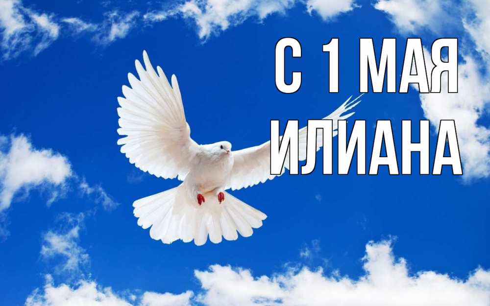 Открытка на каждый день с именем, Илиана С 1 мая С 1 мая 1 Прикольная открытка с пожеланием онлайн скачать бесплатно 