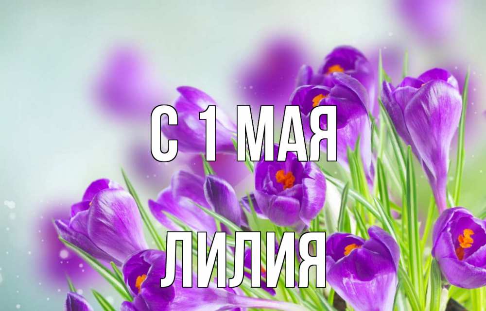 Открытка на каждый день с именем, Лилия С 1 мая 1 мая Прикольная открытка с пожеланием онлайн скачать бесплатно 