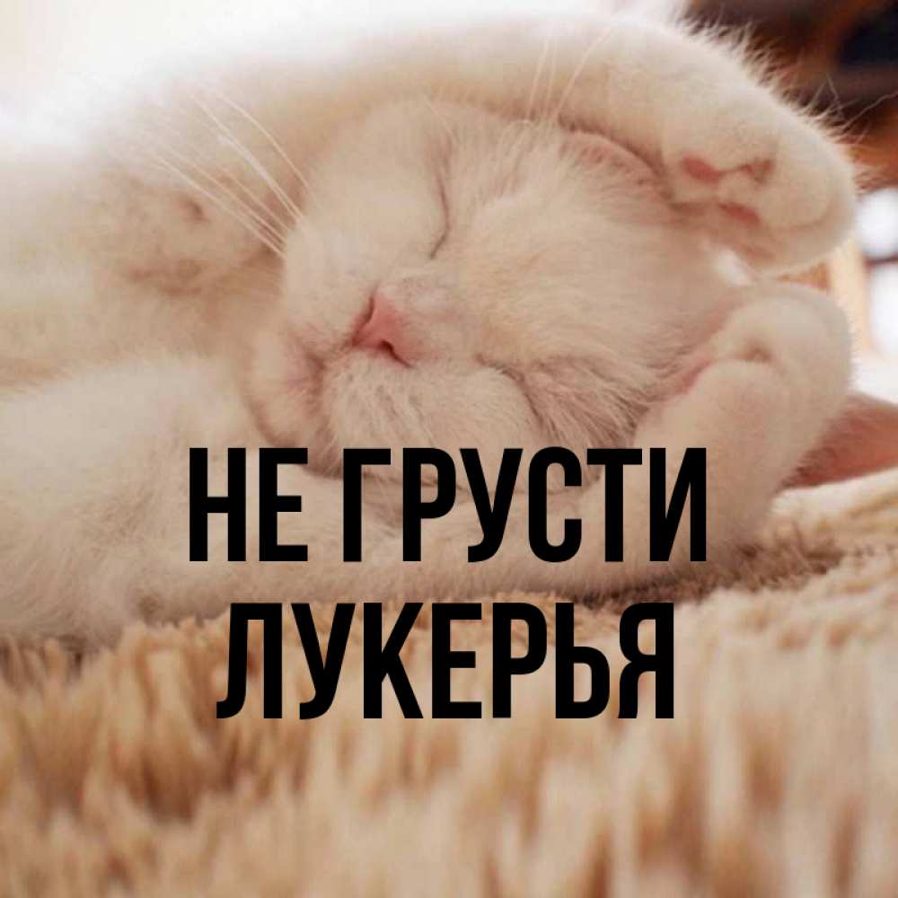 Открытка на каждый день с именем, Лукерья Не грусти Котенок спит Прикольная открытка с пожеланием онлайн скачать бесплатно 
