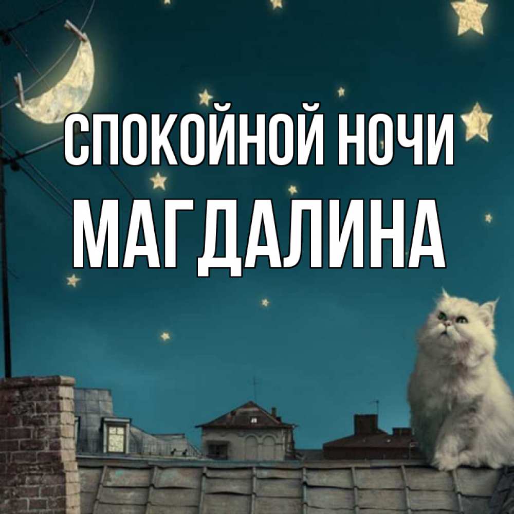 Открытка на каждый день с именем, Магдалина Спокойной ночи белый кот сидит на крыше Прикольная открытка с пожеланием онлайн скачать бесплатно 