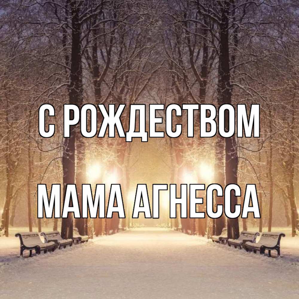 Открытка на каждый день с именем, Мама-Агнесса С рождеством зима, парк, фонарь, лес Прикольная открытка с пожеланием онлайн скачать бесплатно 