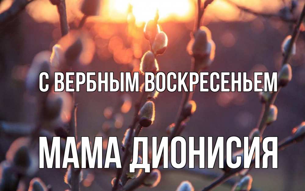 Открытка на каждый день с именем, Мама-Дионисия С вербным воскресеньем верба Прикольная открытка с пожеланием онлайн скачать бесплатно 