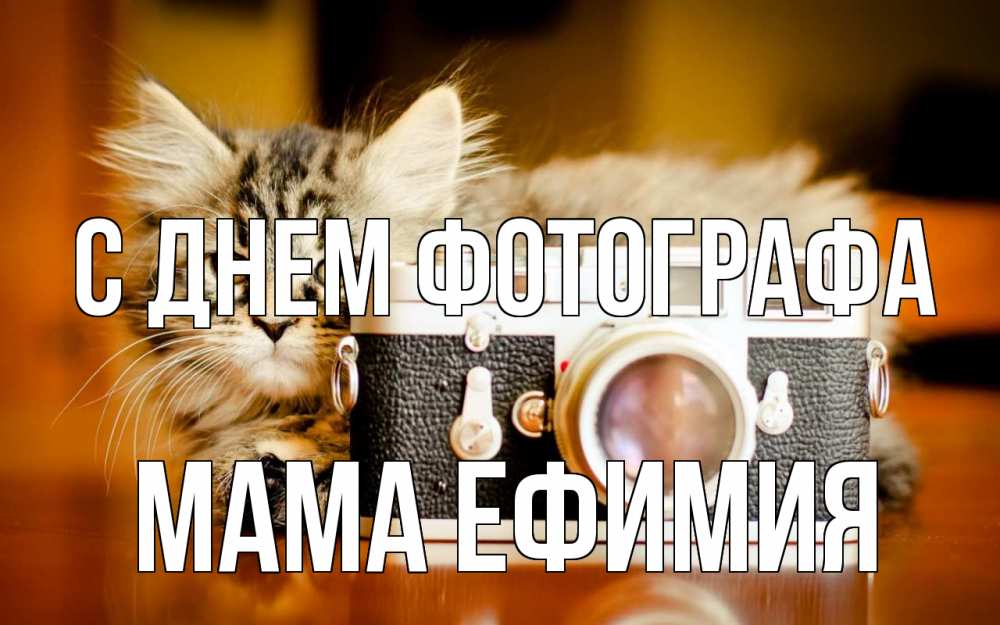 Открытка на каждый день с именем, Мама-Ефимия С днем фотографа с днем фотографа Прикольная открытка с пожеланием онлайн скачать бесплатно 
