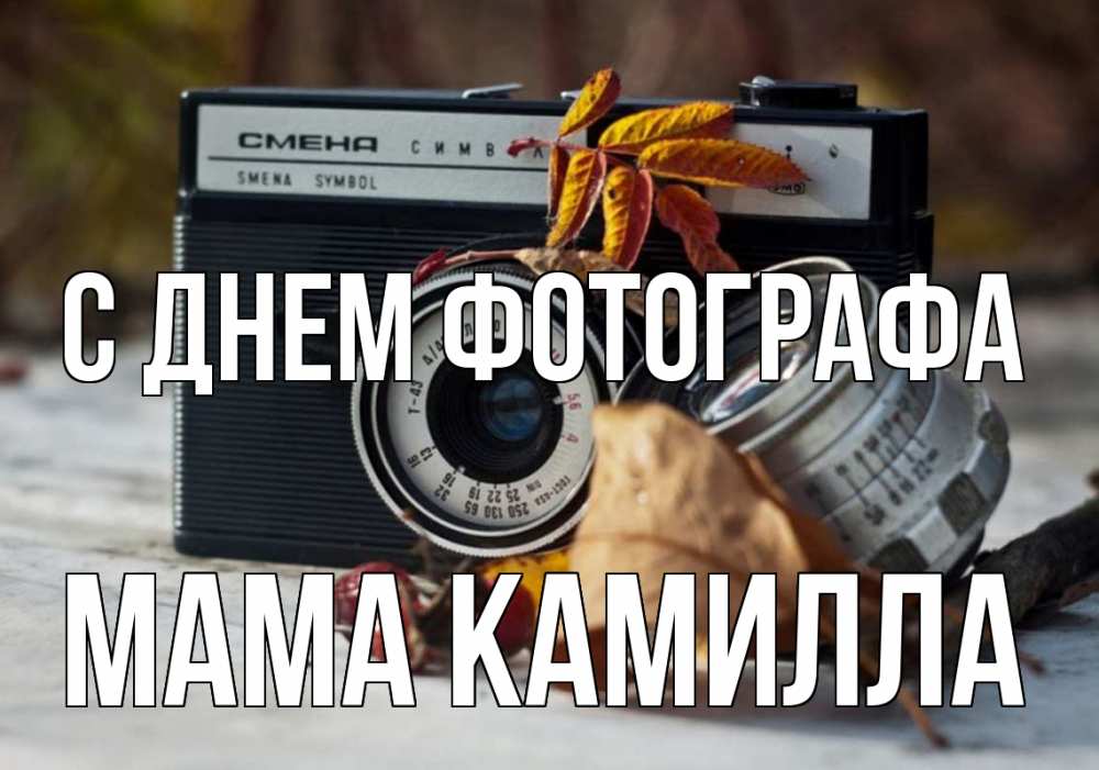 Открытка на каждый день с именем, Мама-Камилла С днем фотографа с днем фотографа Прикольная открытка с пожеланием онлайн скачать бесплатно 