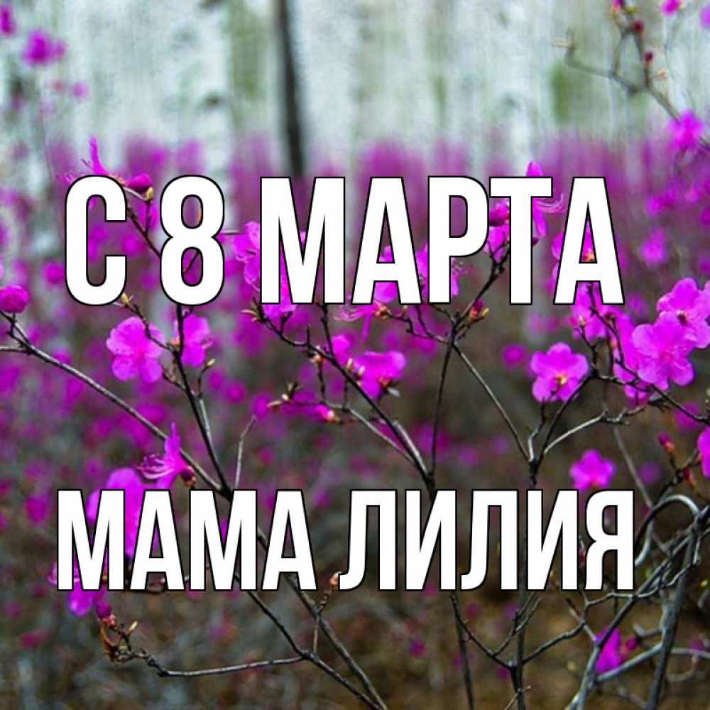 Открытка на каждый день с именем, Мама-Лилия С 8 МАРТА дикие цветы Прикольная открытка с пожеланием онлайн скачать бесплатно 