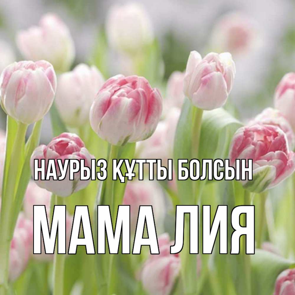 Открытка на каждый день с именем, Мама-Лия Наурыз құтты болсын цветы Прикольная открытка с пожеланием онлайн скачать бесплатно 