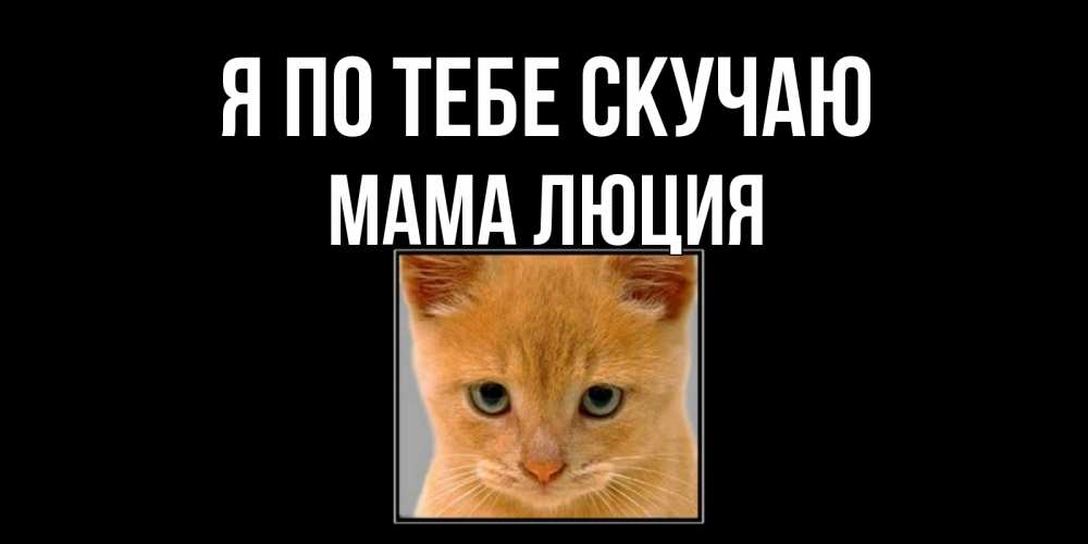Открытка на каждый день с именем, Мама-Люция Я по тебе скучаю открытки рыжий котенок скучает по тебе Прикольная открытка с пожеланием онлайн скачать бесплатно 