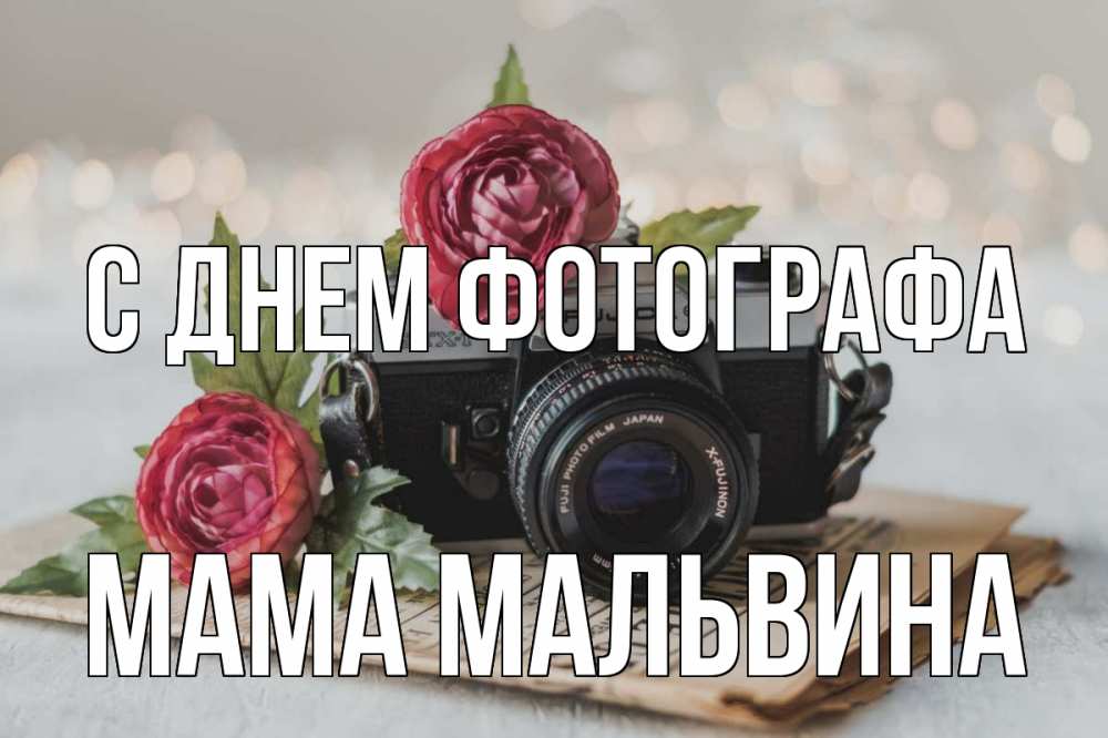 Открытка на каждый день с именем, Мама-Мальвина С днем фотографа с днем фотографа Прикольная открытка с пожеланием онлайн скачать бесплатно 