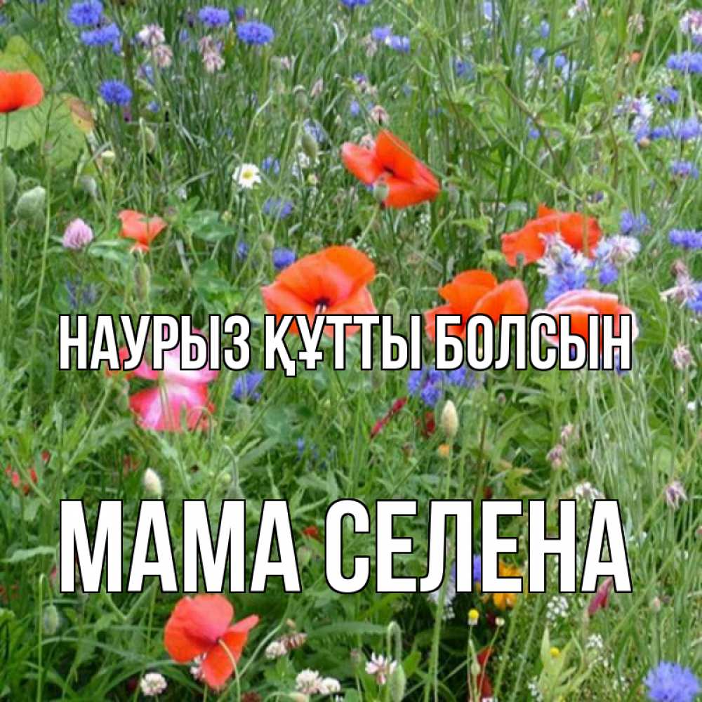 Картинка Наурыз құтты болсын, Мама Селена
