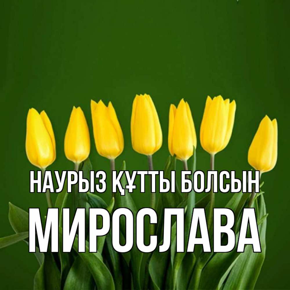 Открытка на каждый день с именем, Мирослава Наурыз құтты болсын желтого цвета 3 Прикольная открытка с пожеланием онлайн скачать бесплатно 