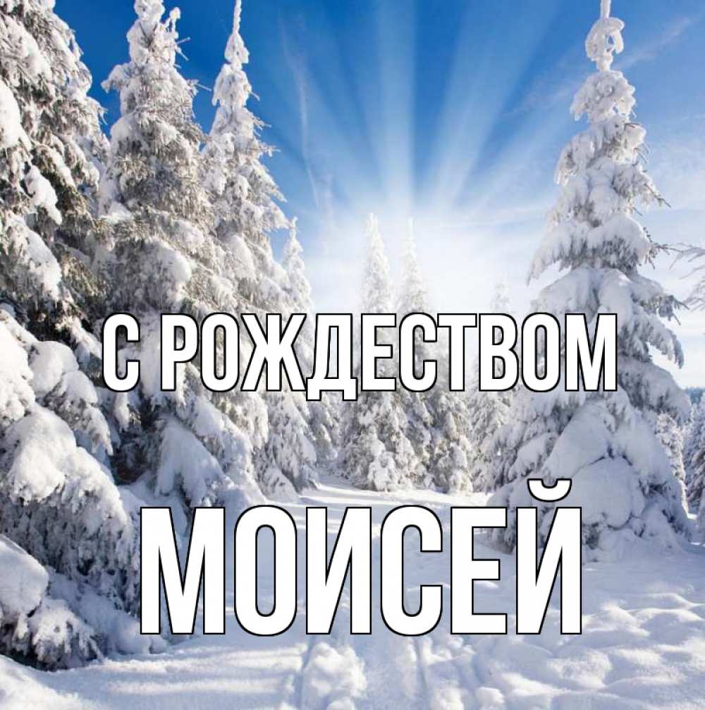 Открытка на каждый день с именем, Моисей С рождеством зима, лес Прикольная открытка с пожеланием онлайн скачать бесплатно 