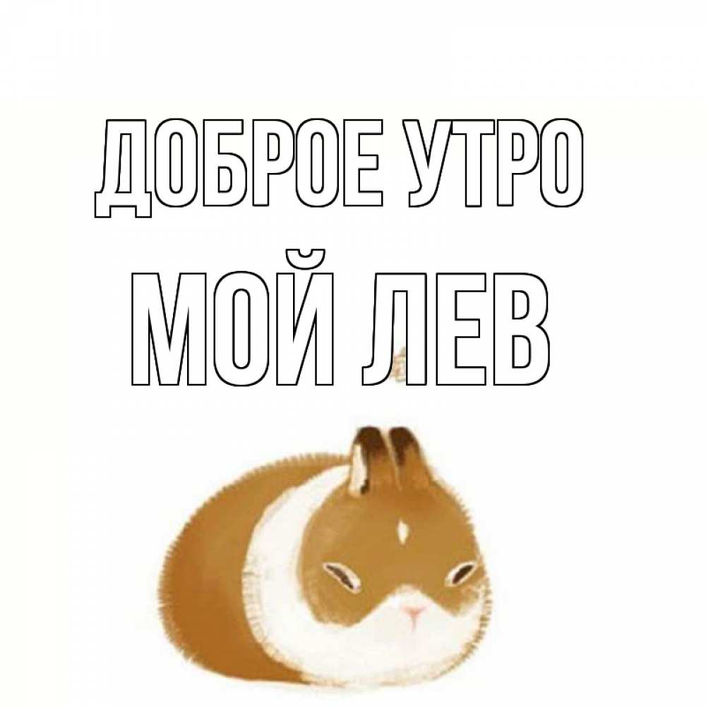 Открытка на каждый день с именем, Мой-Лев Доброе утро хорошего утречка Прикольная открытка с пожеланием онлайн скачать бесплатно 