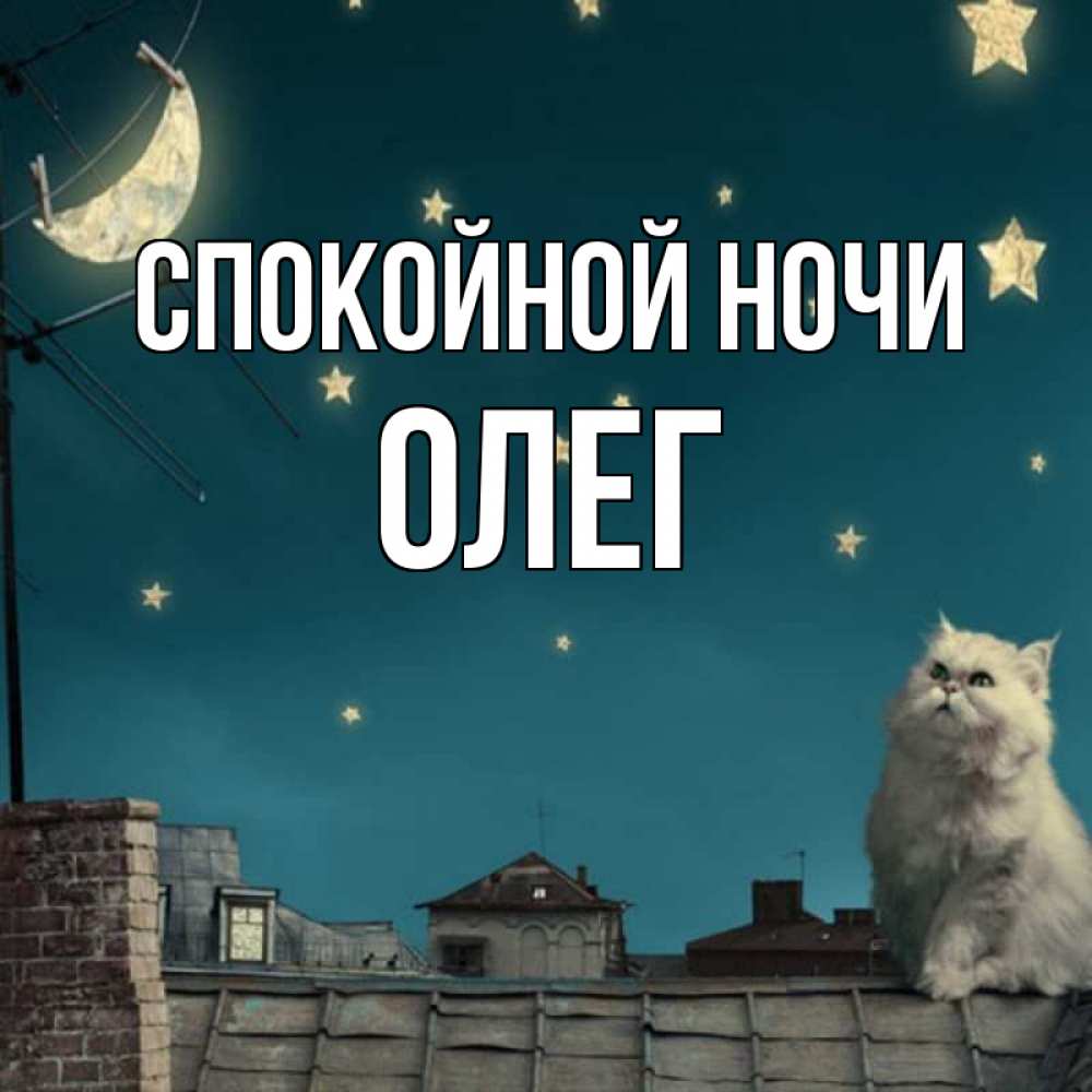 Открытка на каждый день с именем, Олег Спокойной ночи белый кот сидит на крыше Прикольная открытка с пожеланием онлайн скачать бесплатно 