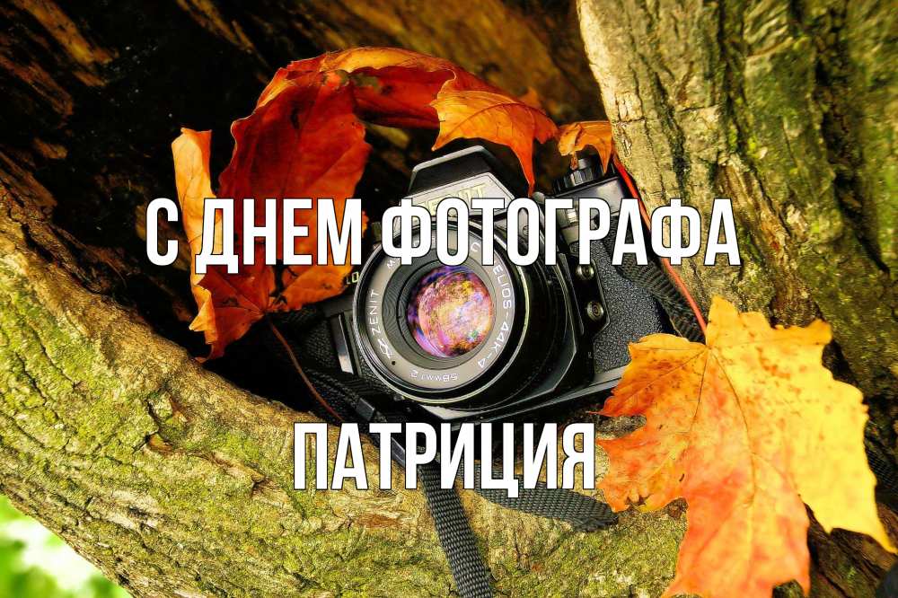 Открытка на каждый день с именем, Патриция С днем фотографа с днем фотографа 1 Прикольная открытка с пожеланием онлайн скачать бесплатно 