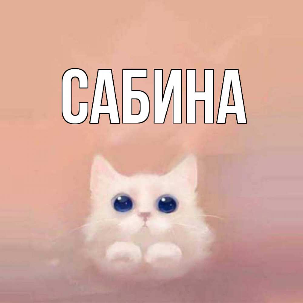 Открытка на каждый день с именем, Сабина Главная котик белый в полете Прикольная открытка с пожеланием онлайн скачать бесплатно 