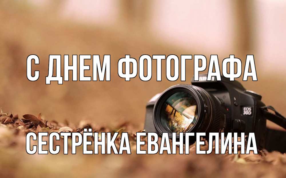 Открытка на каждый день с именем, Сестрёнка-Евангелина С днем фотографа с днем фотографа Прикольная открытка с пожеланием онлайн скачать бесплатно 