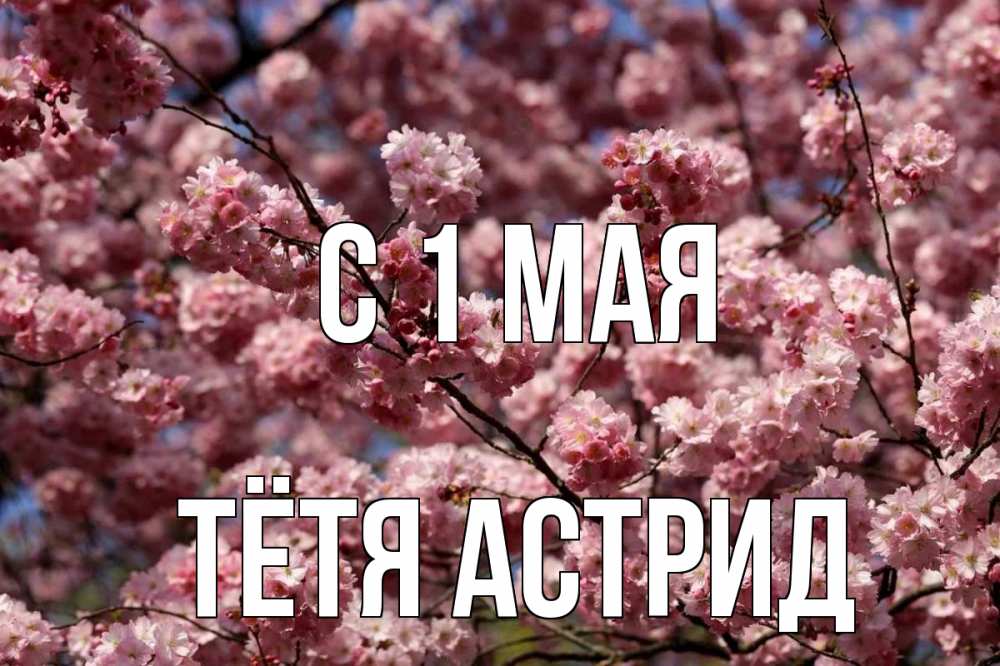 Открытка на каждый день с именем, Тётя-Астрид С 1 мая С 1 мая Прикольная открытка с пожеланием онлайн скачать бесплатно 