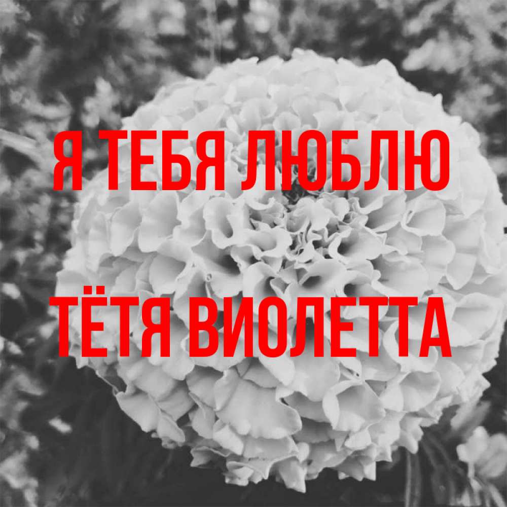 Открытка на каждый день с именем, Тётя-Виолетта Я тебя люблю подпись Прикольная открытка с пожеланием онлайн скачать бесплатно 