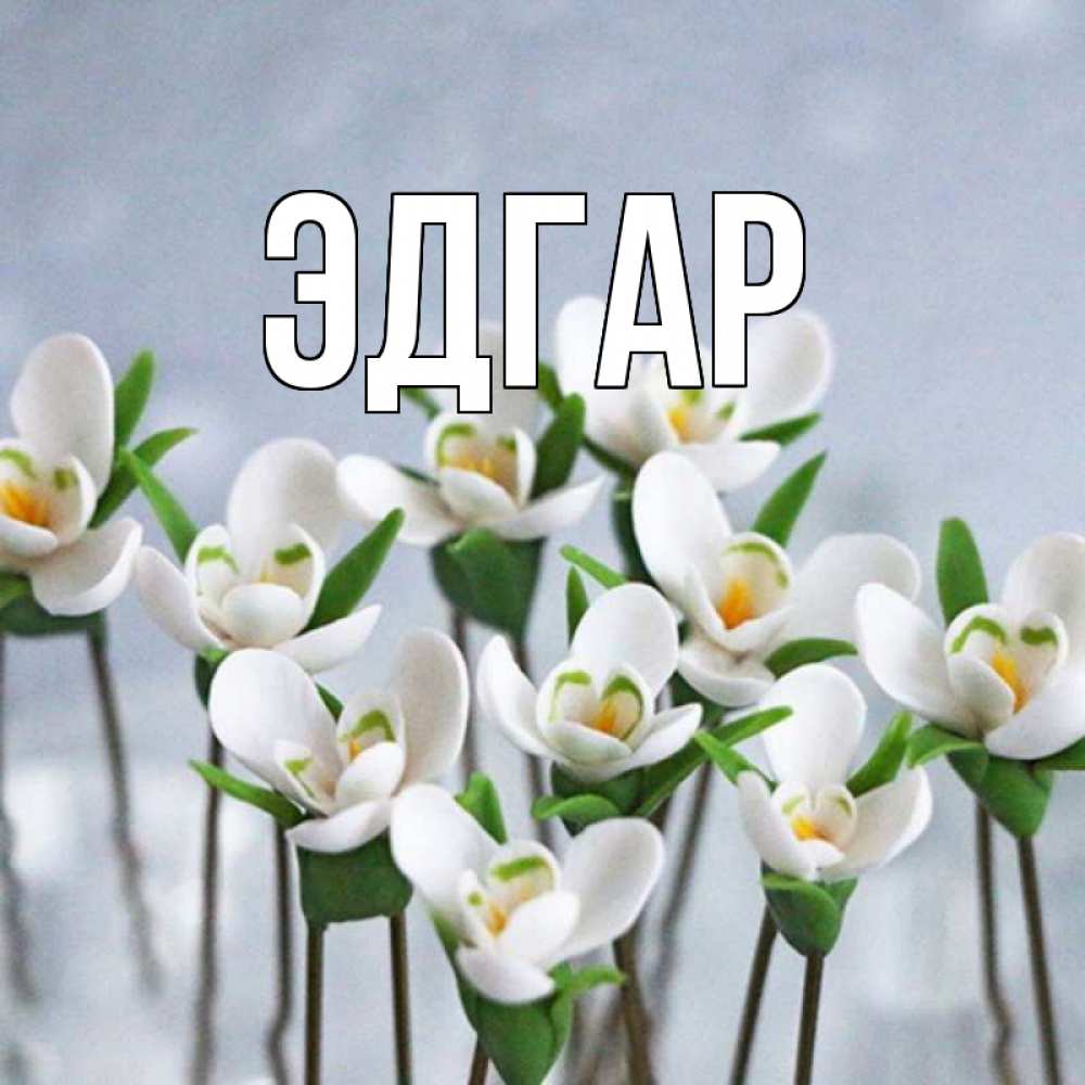 Открытка на каждый день с именем, Эдгар Главная весенние цветы Прикольная открытка с пожеланием онлайн скачать бесплатно 