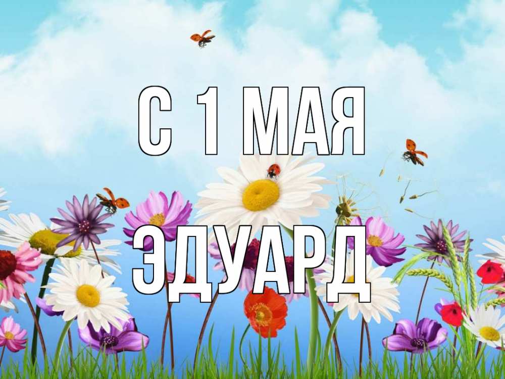 Открытка на каждый день с именем, Эдуард С 1 мая С 1 мая Прикольная открытка с пожеланием онлайн скачать бесплатно 