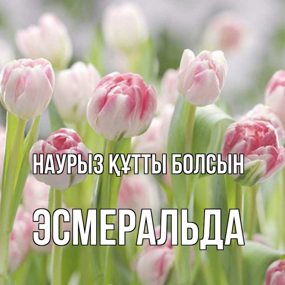 Открытка на каждый день с именем, Эсмеральда Наурыз құтты болсын цветы Прикольная открытка с пожеланием онлайн скачать бесплатно 