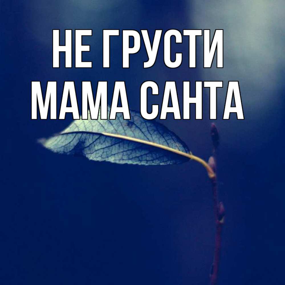 Открытка на каждый день с именем, Мама-Санта Не грусти растение Прикольная открытка с пожеланием онлайн скачать бесплатно 
