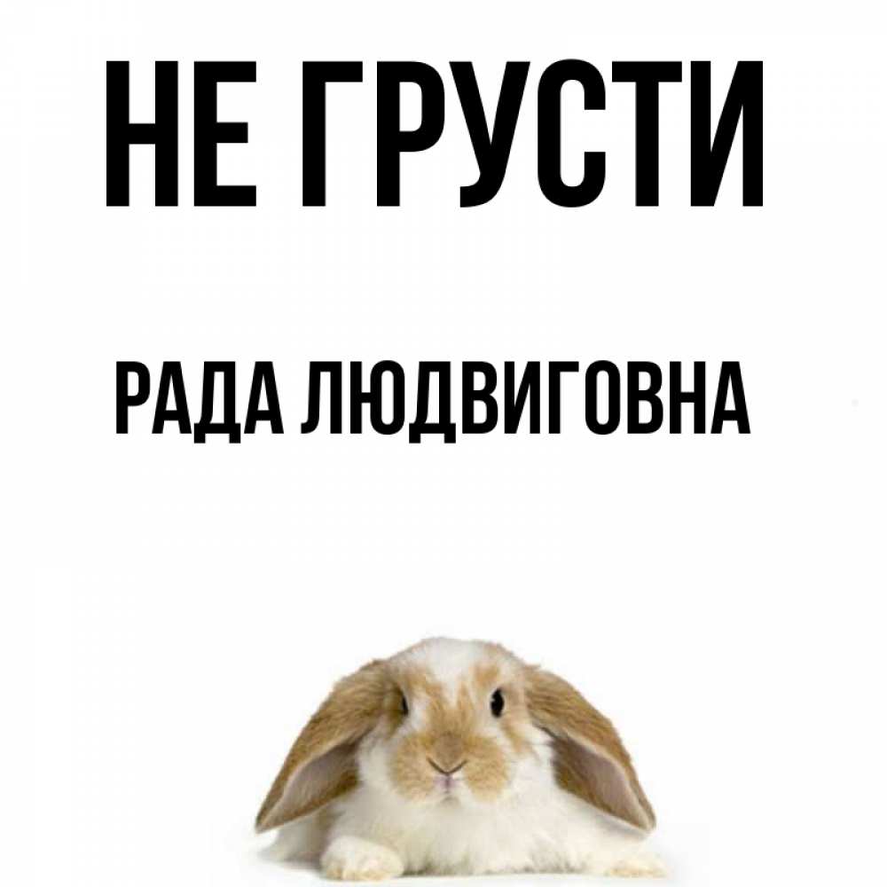 Имя рада картинка
