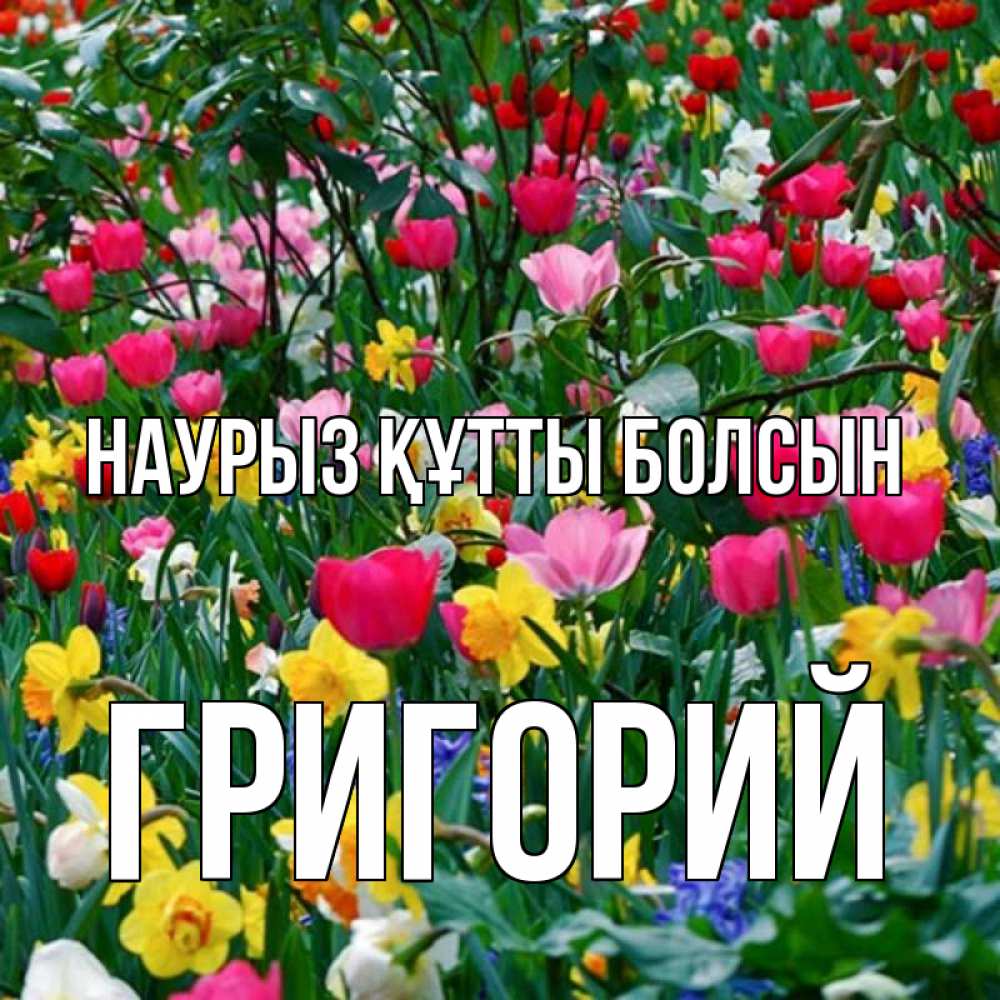 Открытка на каждый день с именем, Григорий Наурыз құтты болсын с наурызом поздравления для женщины Прикольная открытка с пожеланием онлайн скачать бесплатно 