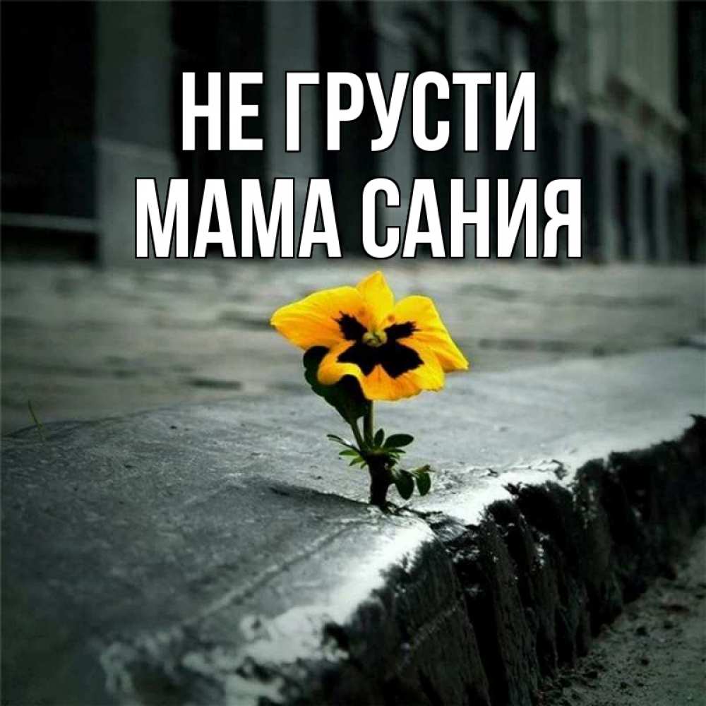 Открытка на каждый день с именем, Мама-Сания Не грусти не сдавайся Прикольная открытка с пожеланием онлайн скачать бесплатно 