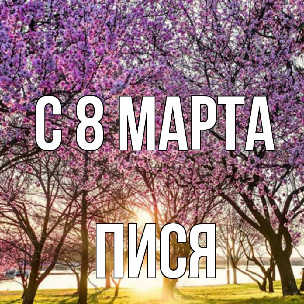 Картинка С 8 МАРТА, Пися