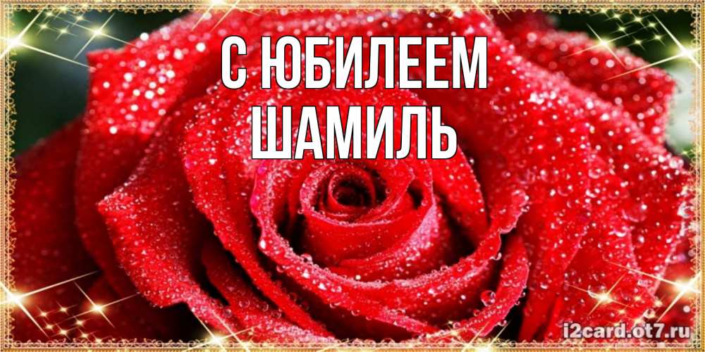 Открытка на каждый день с именем, Шамиль С юбилеем роса и роза. открытка с красивой розой Прикольная открытка с пожеланием онлайн скачать бесплатно 