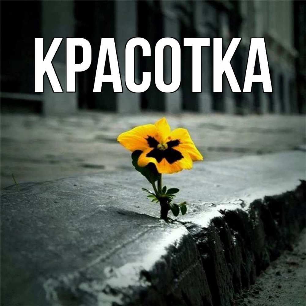 Открытка на каждый день с именем, красотка Главная надеюсь будет лучше Прикольная открытка с пожеланием онлайн скачать бесплатно 