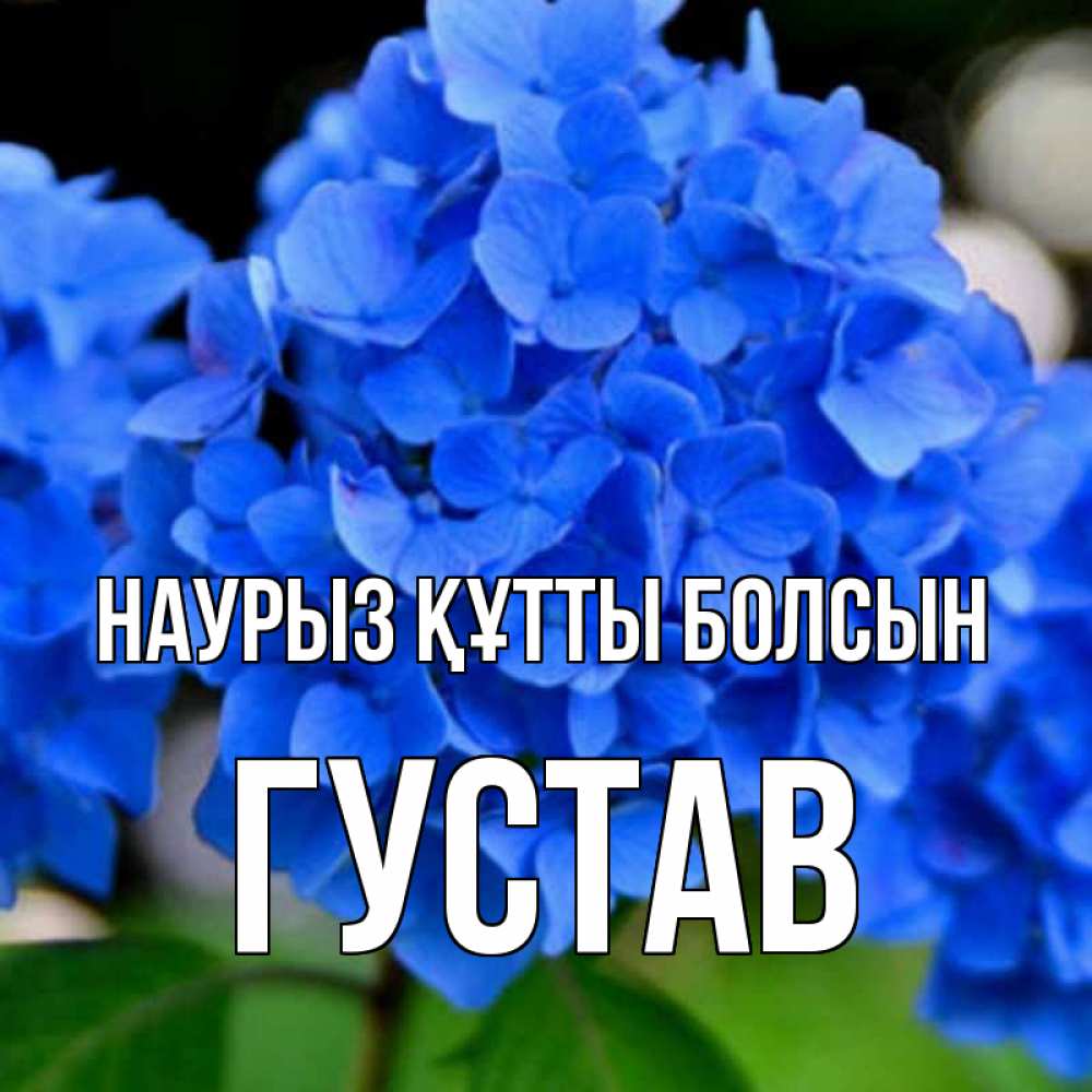 Открытка на каждый день с именем, Густав Наурыз құтты болсын синие цветы Прикольная открытка с пожеланием онлайн скачать бесплатно 