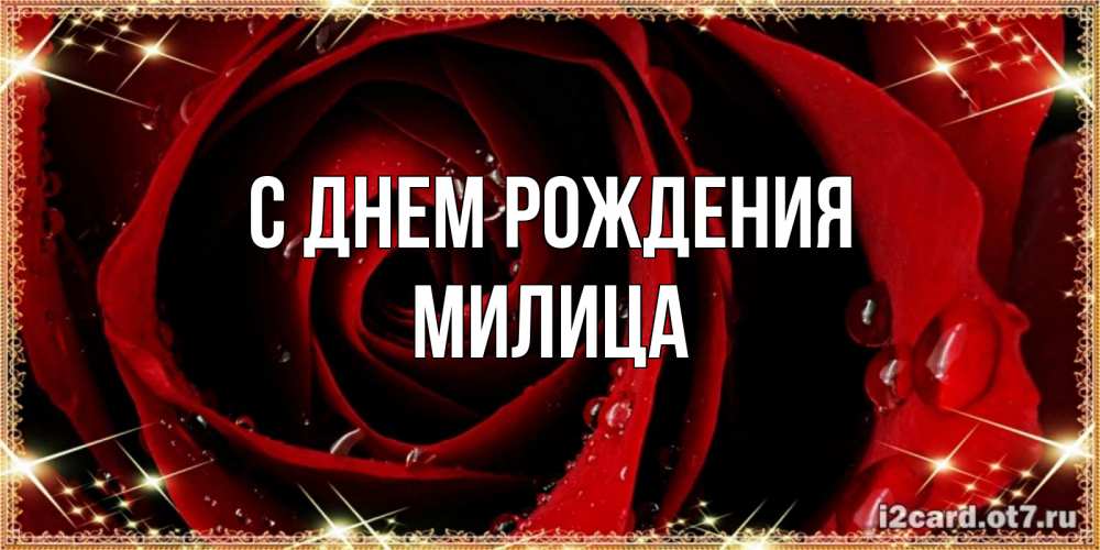 Открытка на каждый день с именем, Милица С днем рождения цветок в росе на день рождения Прикольная открытка с пожеланием онлайн скачать бесплатно 