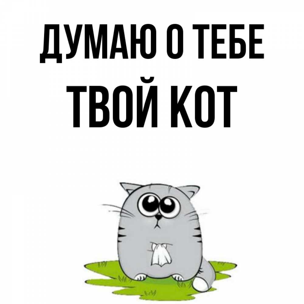 Мысли кошек смешные. Думаю о коте. Комиксы с котами. Кошка думает. Кошачьи мысли.