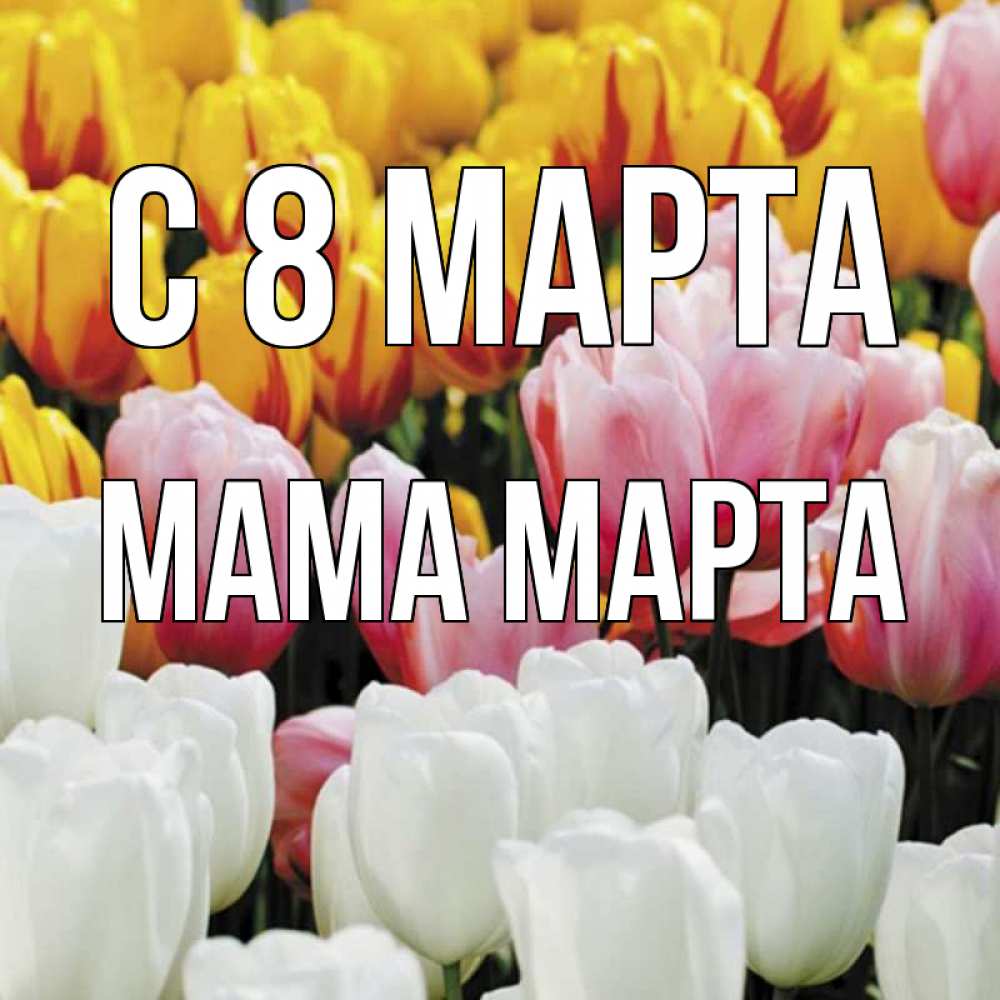 Открытка на каждый день с именем, Мама-Марта С 8 марта разноцветные цветы Прикольная открытка с пожеланием онлайн скачать бесплатно 