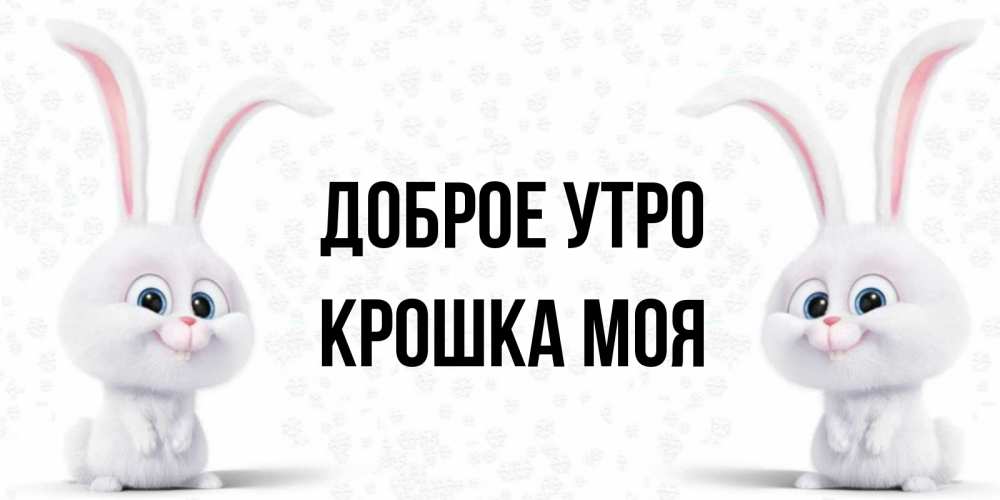 Открытка на каждый день с именем, Крошка-моя Доброе утро кролики с длинными ушками Прикольная открытка с пожеланием онлайн скачать бесплатно 