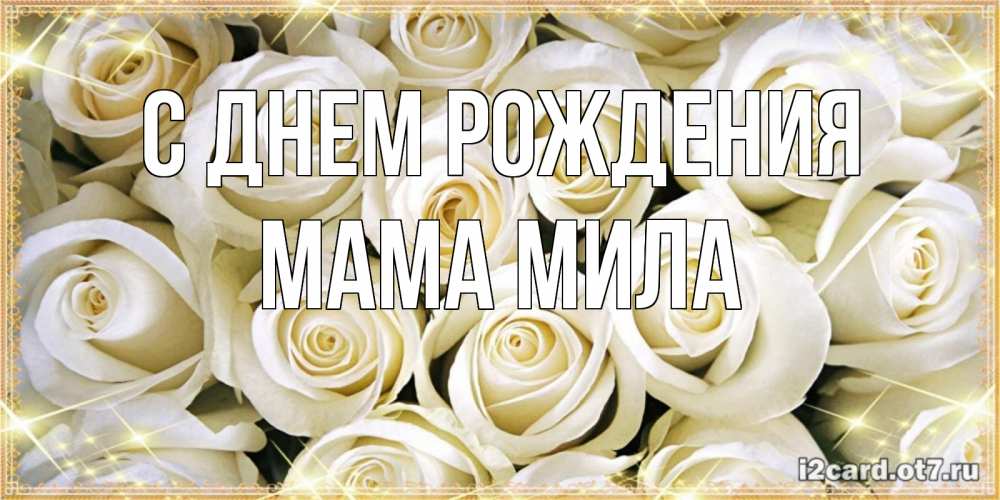 Открытка на каждый день с именем, Мама-Мила С днем рождения открытка с белыми розами. большой букет белых роз Прикольная открытка с пожеланием онлайн скачать бесплатно 