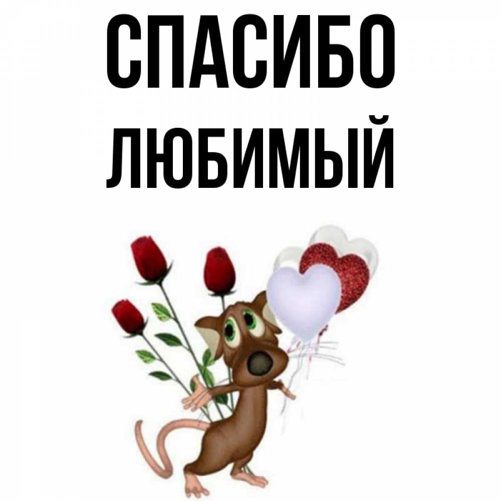 Картинка мой любимый магазин