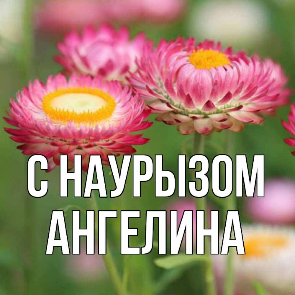 Открытка на каждый день с именем, Ангелина С наурызом подарок на международный женский день Прикольная открытка с пожеланием онлайн скачать бесплатно 