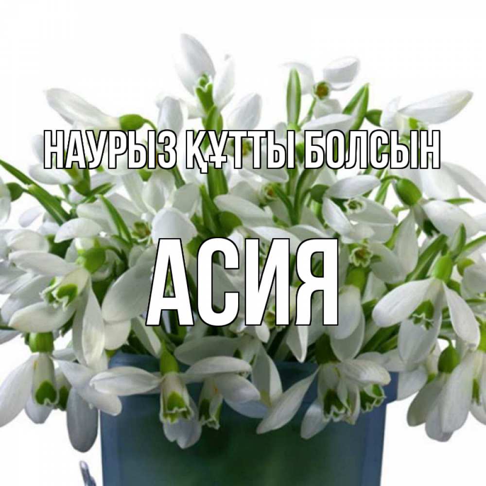 Открытка на каждый день с именем, Асия Наурыз құтты болсын цветы к наурызу Прикольная открытка с пожеланием онлайн скачать бесплатно 
