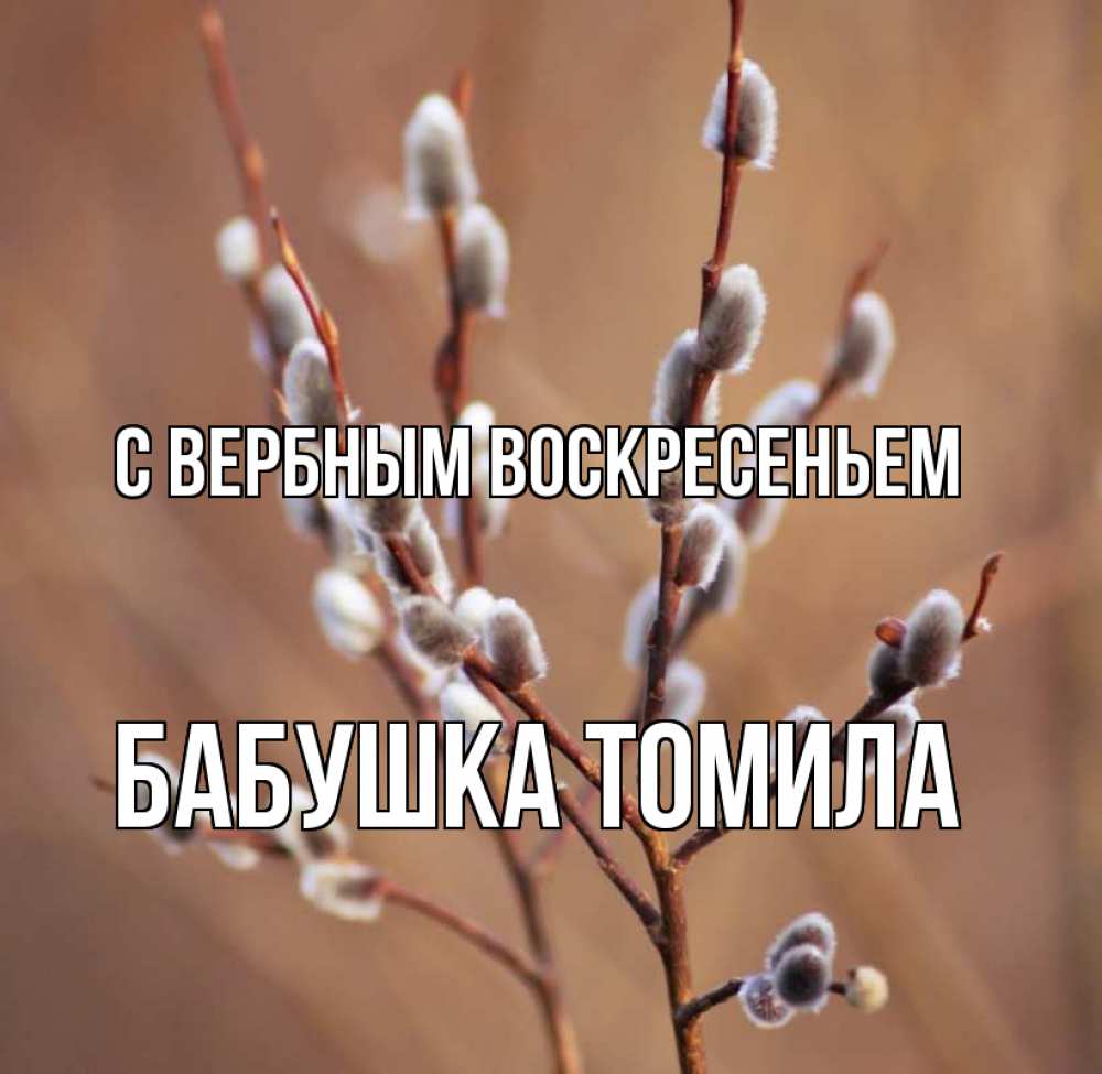 Открытка на каждый день с именем, Бабушка-Томила С вербным воскресеньем верба Прикольная открытка с пожеланием онлайн скачать бесплатно 