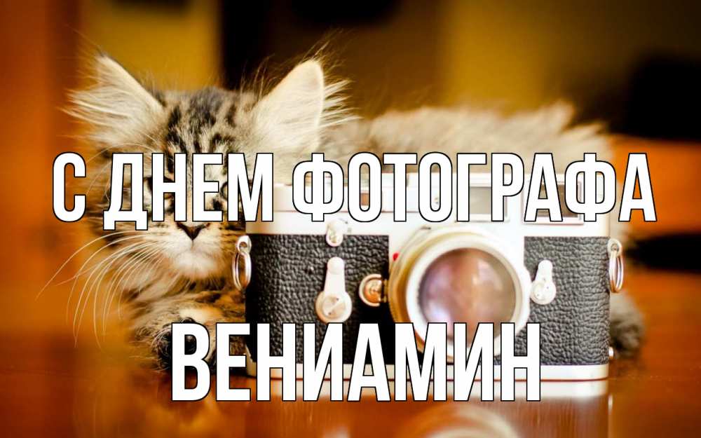 Открытка на каждый день с именем, Вениамин С днем фотографа с днем фотографа Прикольная открытка с пожеланием онлайн скачать бесплатно 
