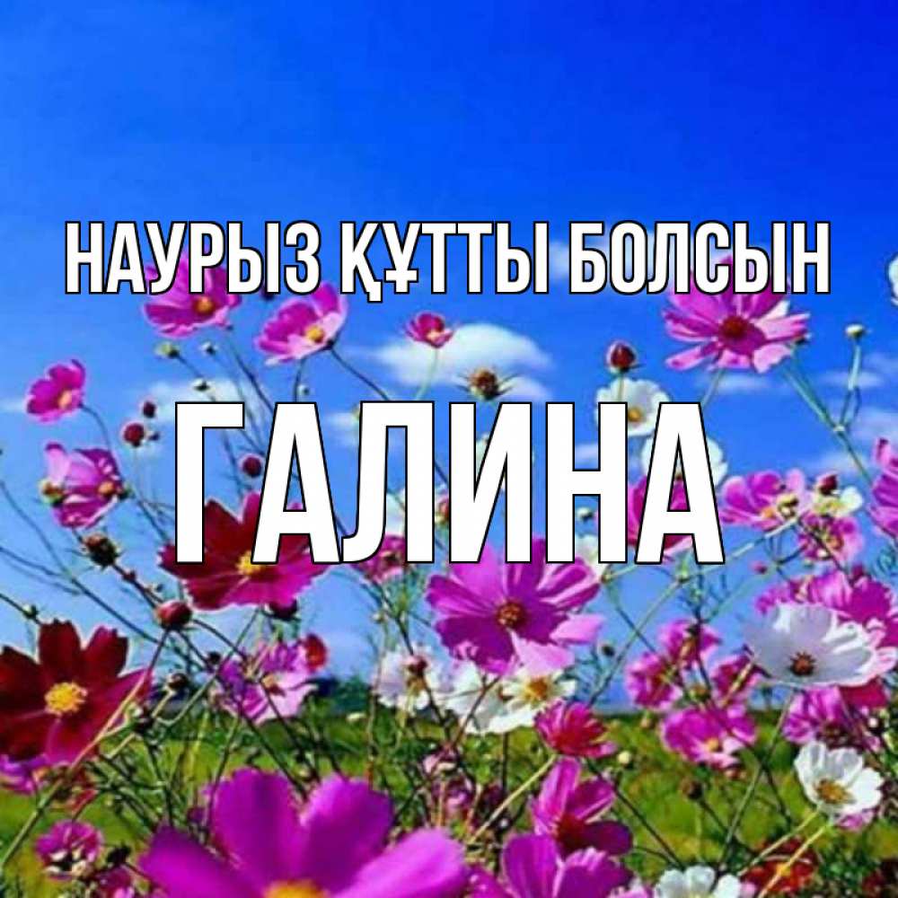 Открытка на каждый день с именем, Галина Наурыз құтты болсын цветы Прикольная открытка с пожеланием онлайн скачать бесплатно 